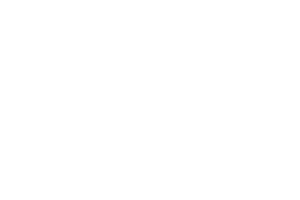 Flueckiger