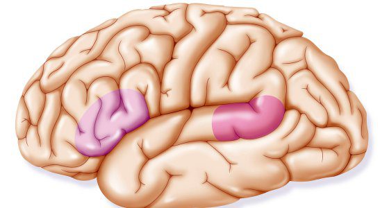 Neuroprothese ermöglicht Patient mit Anarthrie mit Worten zu kommunizieren